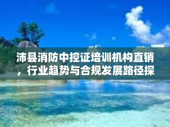 沛县消防中控证培训机构直销，行业趋势与合规发展路径探析