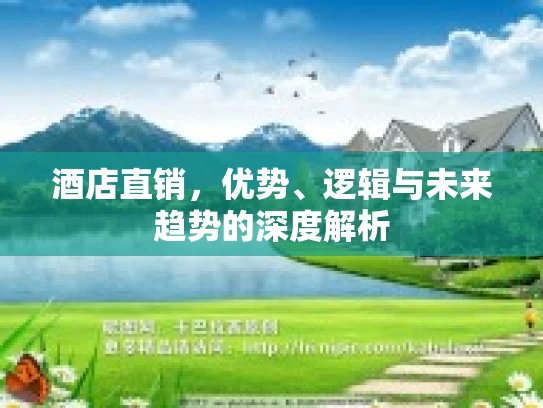 酒店直销，优势、逻辑与未来趋势的深度解析