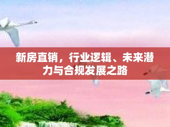 新房直销，行业逻辑、未来潜力与合规发展之路