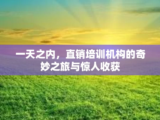 一天之内，直销培训机构的奇妙之旅与惊人收获