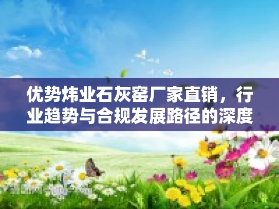 优势炜业石灰窑厂家直销,行业趋势与合规发展路径的深度分析 优势炜业石灰窑厂家直销,行业趋势与合规发展路径的深度分析