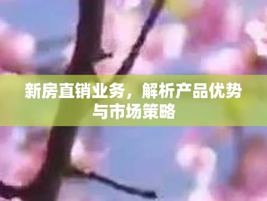 新房直销业务，解析产品优势与市场策略