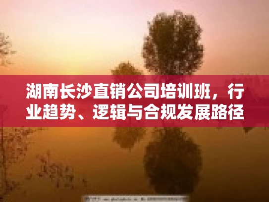 湖南长沙直销公司培训班，行业趋势、逻辑与合规发展路径的深度解析