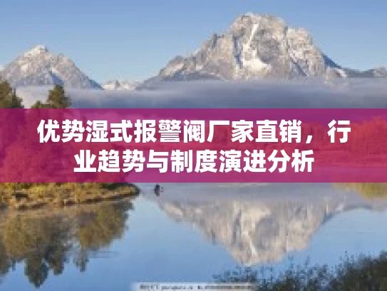 优势湿式报警阀厂家直销，行业趋势与制度演进分析