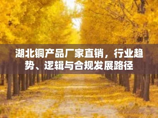 湖北铜产品厂家直销，行业趋势、逻辑与合规发展路径