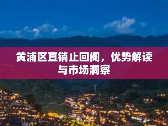 黄浦区直销止回阀，优势解读与市场洞察