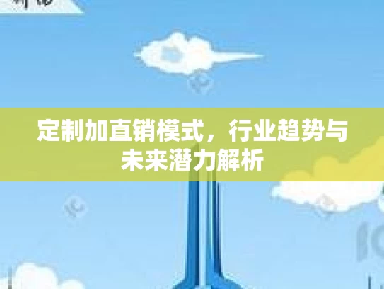 定制加直销模式，行业趋势与未来潜力解析
