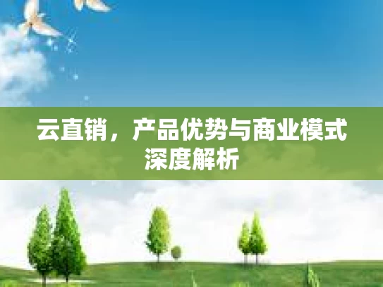 云直销，产品优势与商业模式深度解析