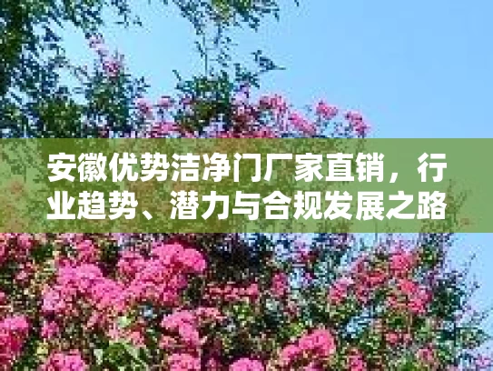 安徽优势洁净门厂家直销，行业趋势、潜力与合规发展之路