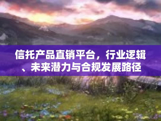 信托产品直销平台，行业逻辑、未来潜力与合规发展路径