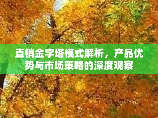 直销金字塔模式解析，产品优势与市场策略的深度观察
