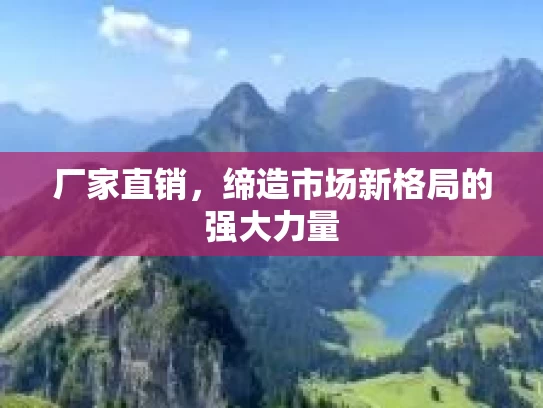 厂家直销，缔造市场新格局的强大力量