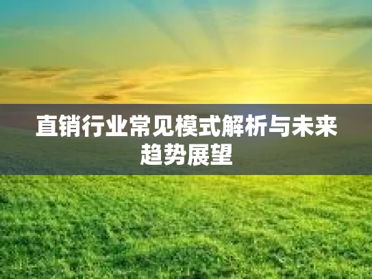 直销行业常见模式解析与未来趋势展望