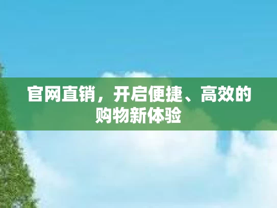 官网直销，开启便捷、高效的购物新体验