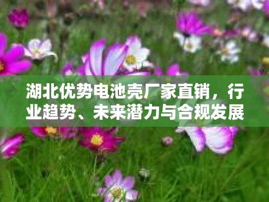 湖北优势电池壳厂家直销,行业趋势、未来潜力与合规发展路径 湖北优势电池壳厂家直销,行业趋势、未来潜力与合规发展路径