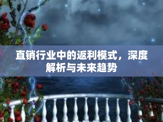 直销行业中的返利模式，深度解析与未来趋势