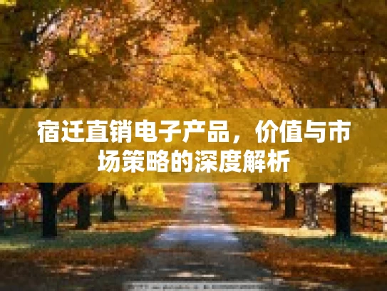 宿迁直销电子产品，价值与市场策略的深度解析