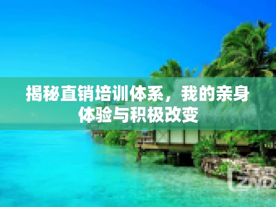 揭秘直销培训体系，我的亲身体验与积极改变