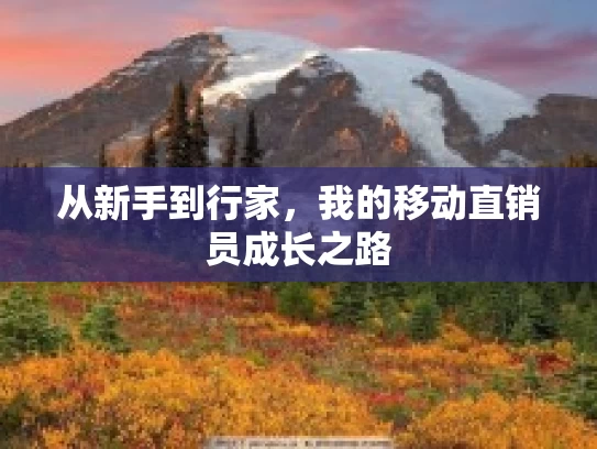 从新手到行家，我的移动直销员成长之路