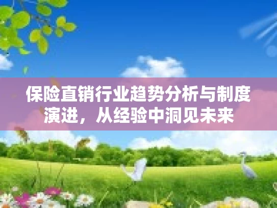 保险直销行业趋势分析与制度演进，从经验中洞见未来