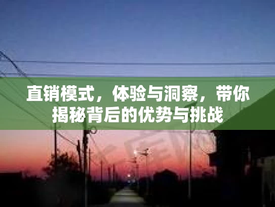 直销模式，体验与洞察，带你揭秘背后的优势与挑战