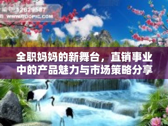 全职妈妈的新舞台，直销事业中的产品魅力与市场策略分享
