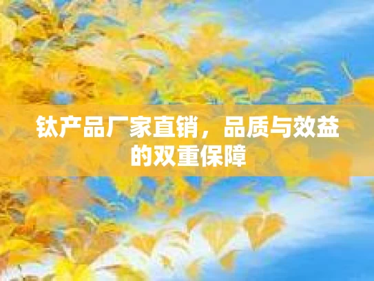 钛产品厂家直销，品质与效益的双重保障