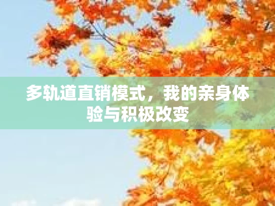 多轨道直销模式，我的亲身体验与积极改变