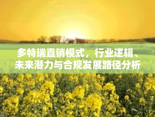 多特瑞直销模式，行业逻辑、未来潜力与合规发展路径分析