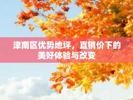 津南区优势地坪，直销价下的美好体验与改变