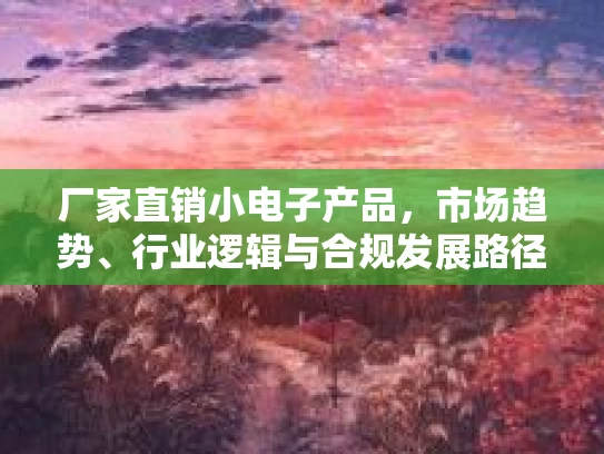 厂家直销小电子产品，市场趋势、行业逻辑与合规发展路径