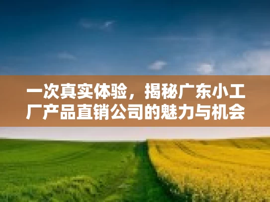 一次真实体验，揭秘广东小工厂产品直销公司的魅力与机会