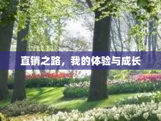 直销之路，我的体验与成长