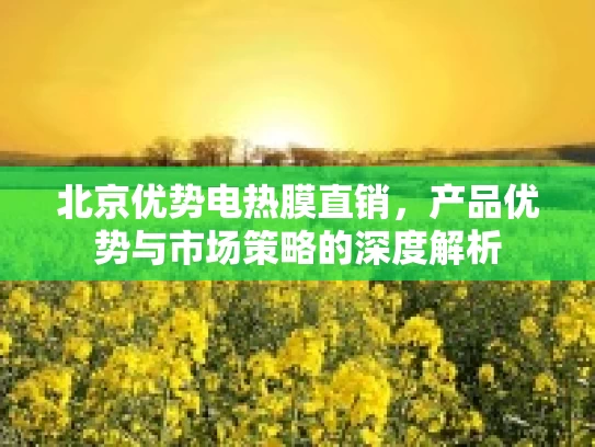 北京优势电热膜直销,产品优势与市场策略的深度解析 北京优势电热膜直销,产品优势与市场策略的深度解析