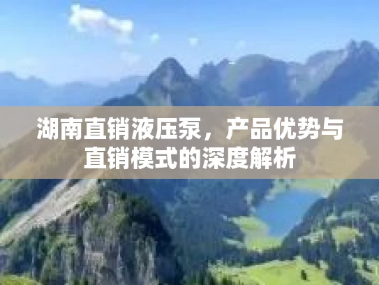 湖南直销液压泵，产品优势与直销模式的深度解析