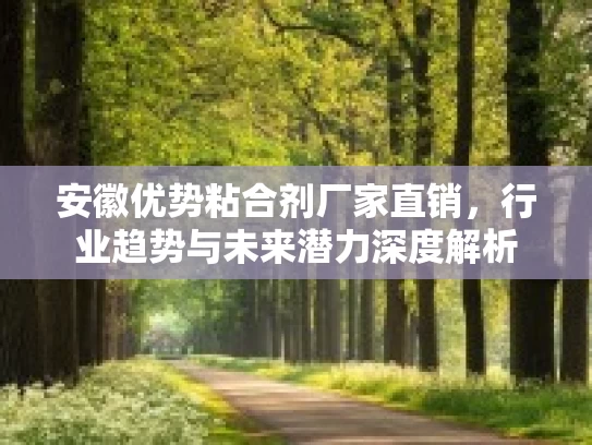 安徽优势粘合剂厂家直销,行业趋势与未来潜力深度解析 安徽优势粘合剂厂家直销,行业趋势与未来潜力深度解析