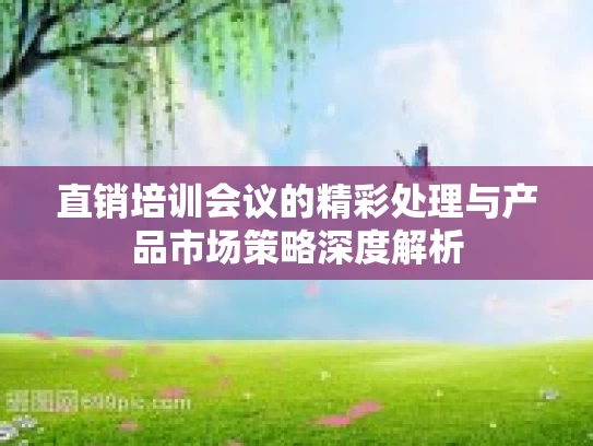 直销培训会议的精彩处理与产品市场策略深度解析