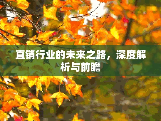 直销行业的未来之路，深度解析与前瞻