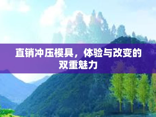 直销冲压模具，体验与改变的双重魅力
