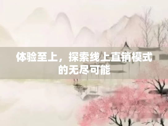 体验至上，探索线上直销模式的无尽可能