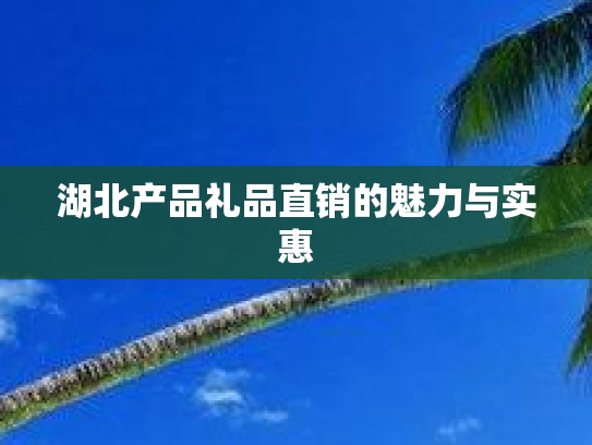湖北产品礼品直销的魅力与实惠