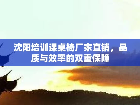 沈阳培训课桌椅厂家直销，品质与效率的双重保障