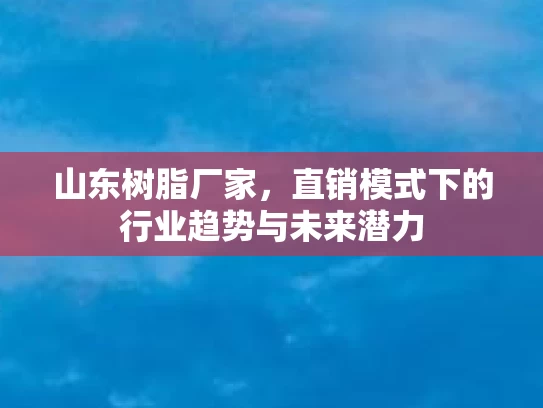 山东树脂厂家，直销模式下的行业趋势与未来潜力