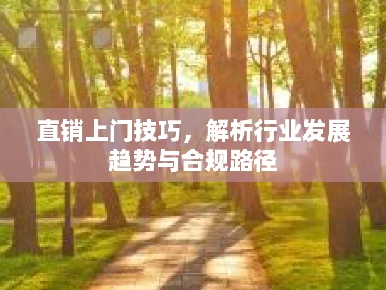 直销上门技巧，解析行业发展趋势与合规路径