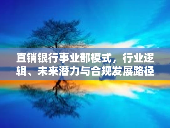 直销银行事业部模式，行业逻辑、未来潜力与合规发展路径