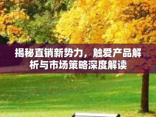 揭秘直销新势力，触爱产品解析与市场策略深度解读